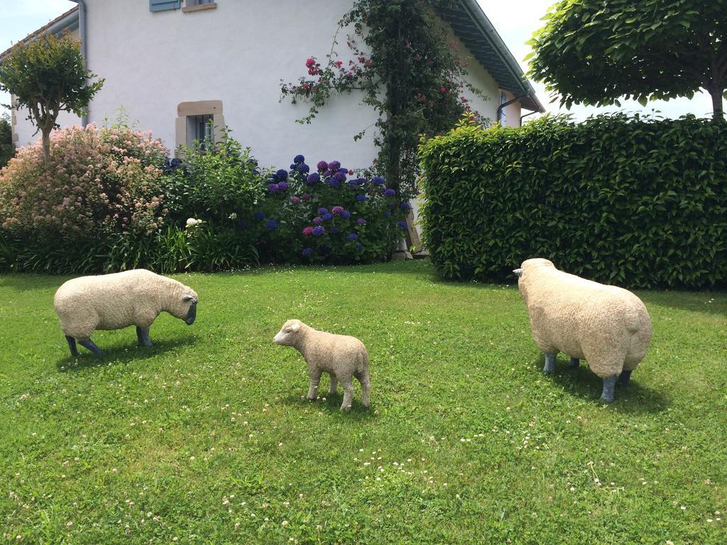 Les Volets Bleus Bed & Breakfast Arcangues Dış mekan fotoğraf