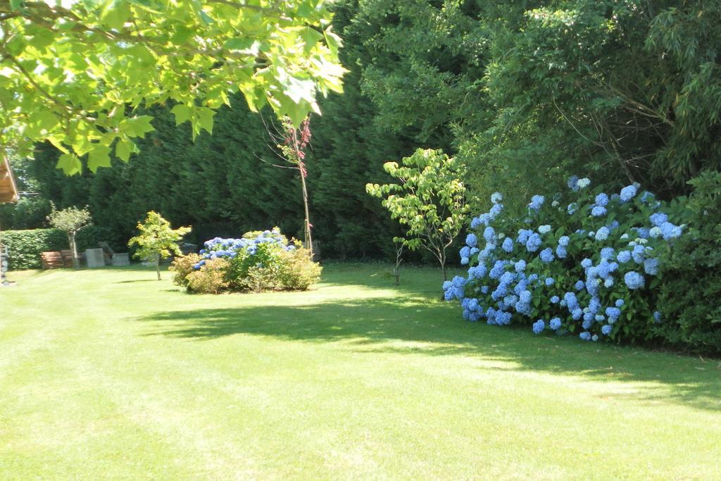 Les Volets Bleus Bed & Breakfast Arcangues Dış mekan fotoğraf